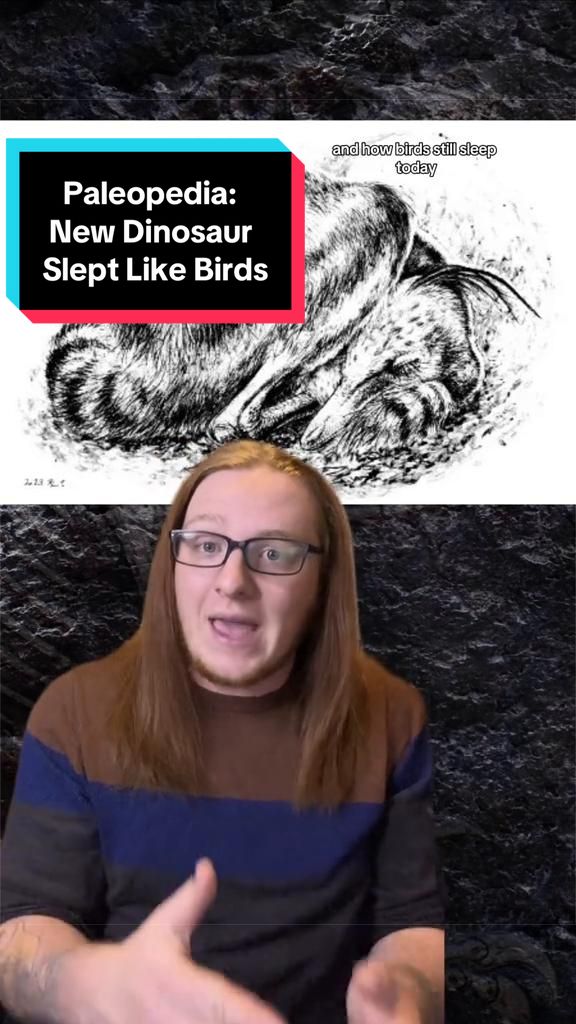 @Paleopedia