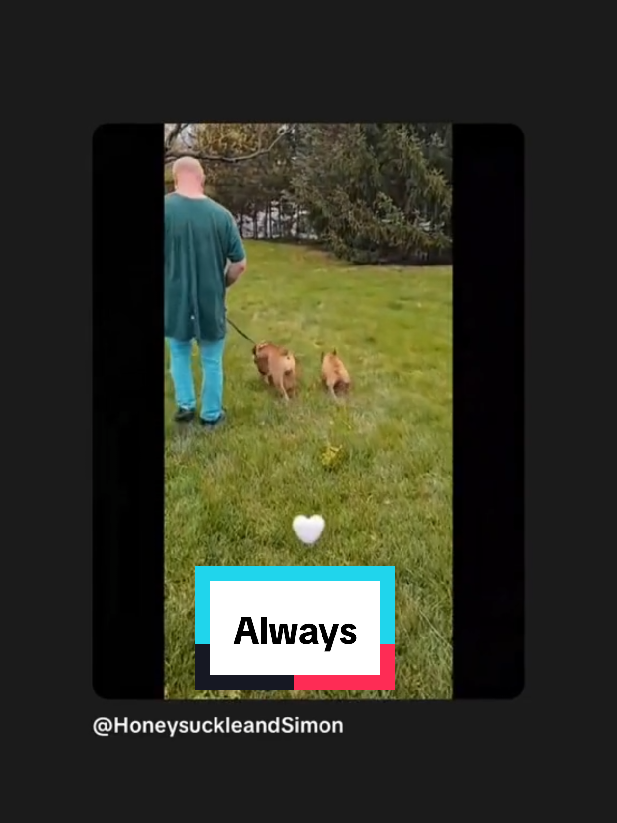 @HoneysuckleandSimon