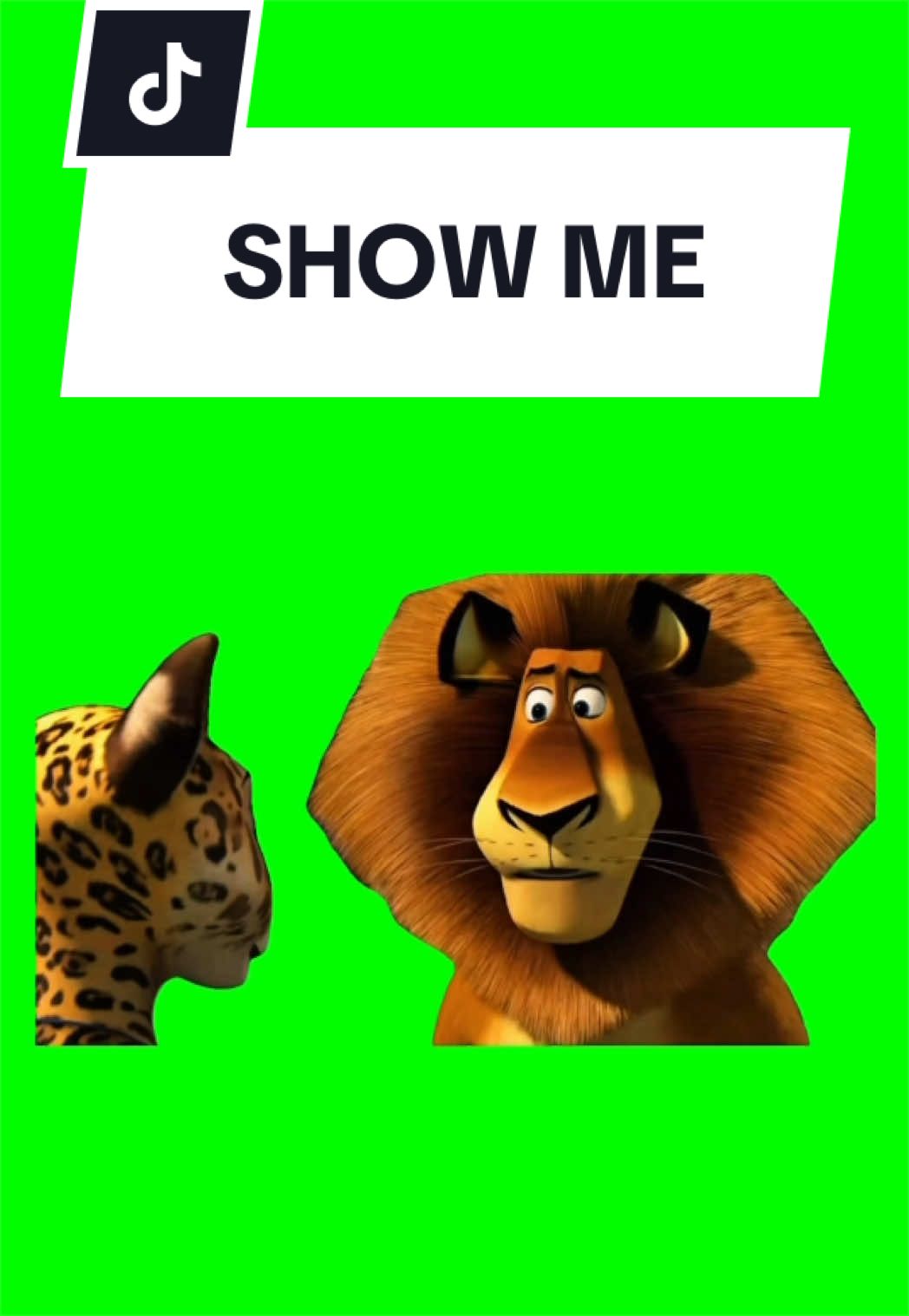 @SILLYBALOO