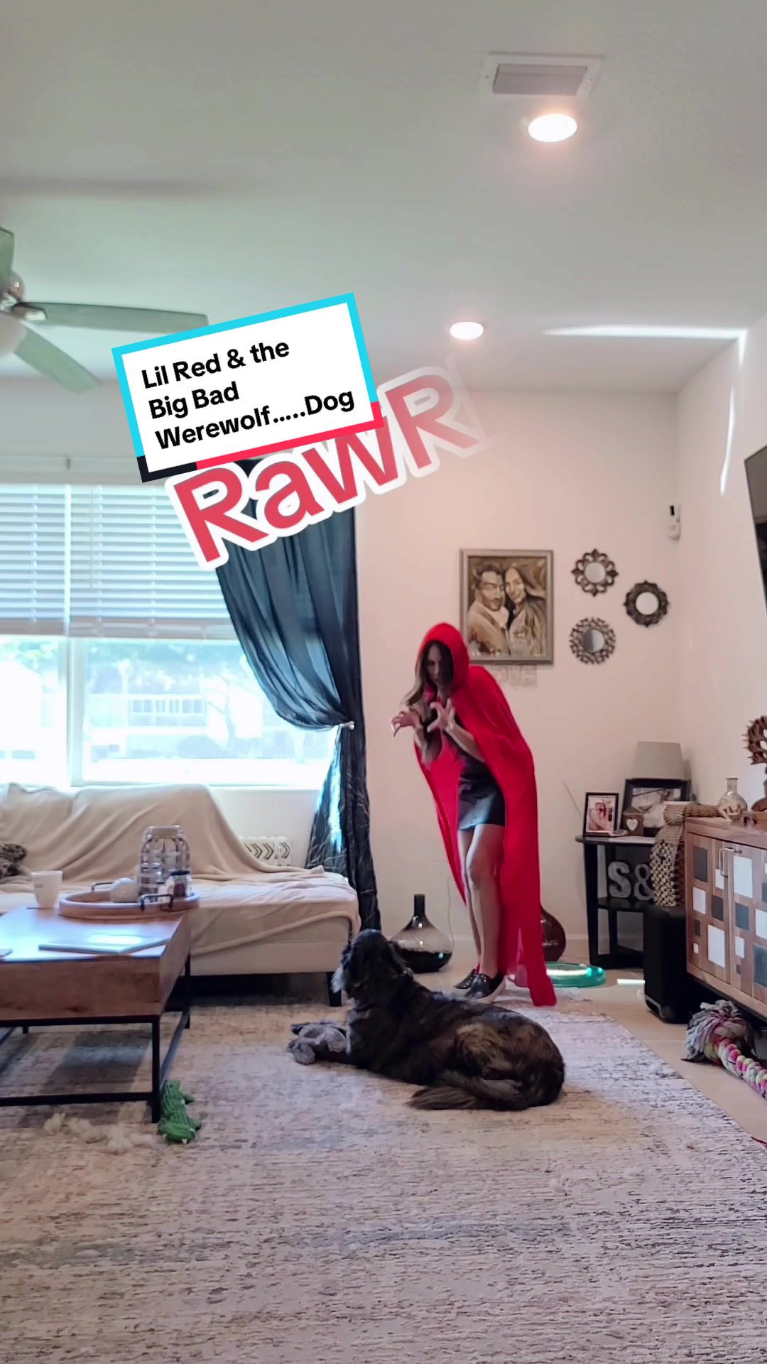 @Kylo the werewolf dog