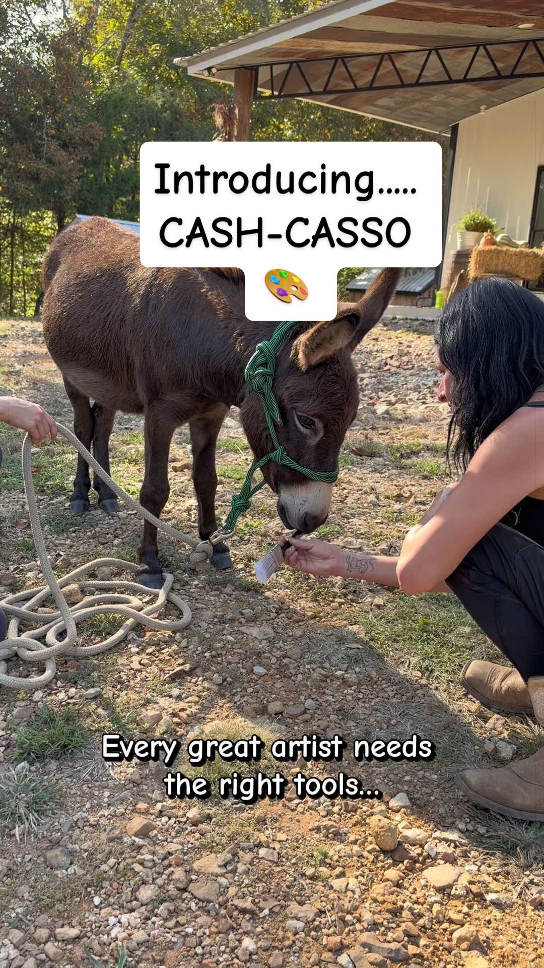 @Our Simple Homestead