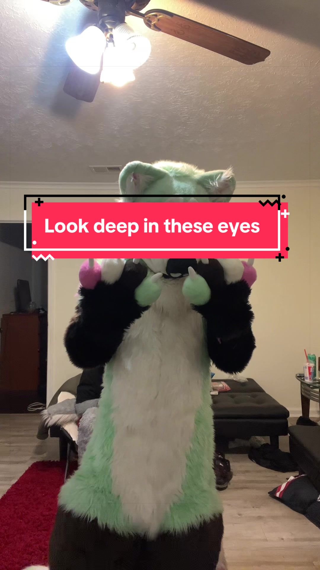 @Ayn BlackFox
