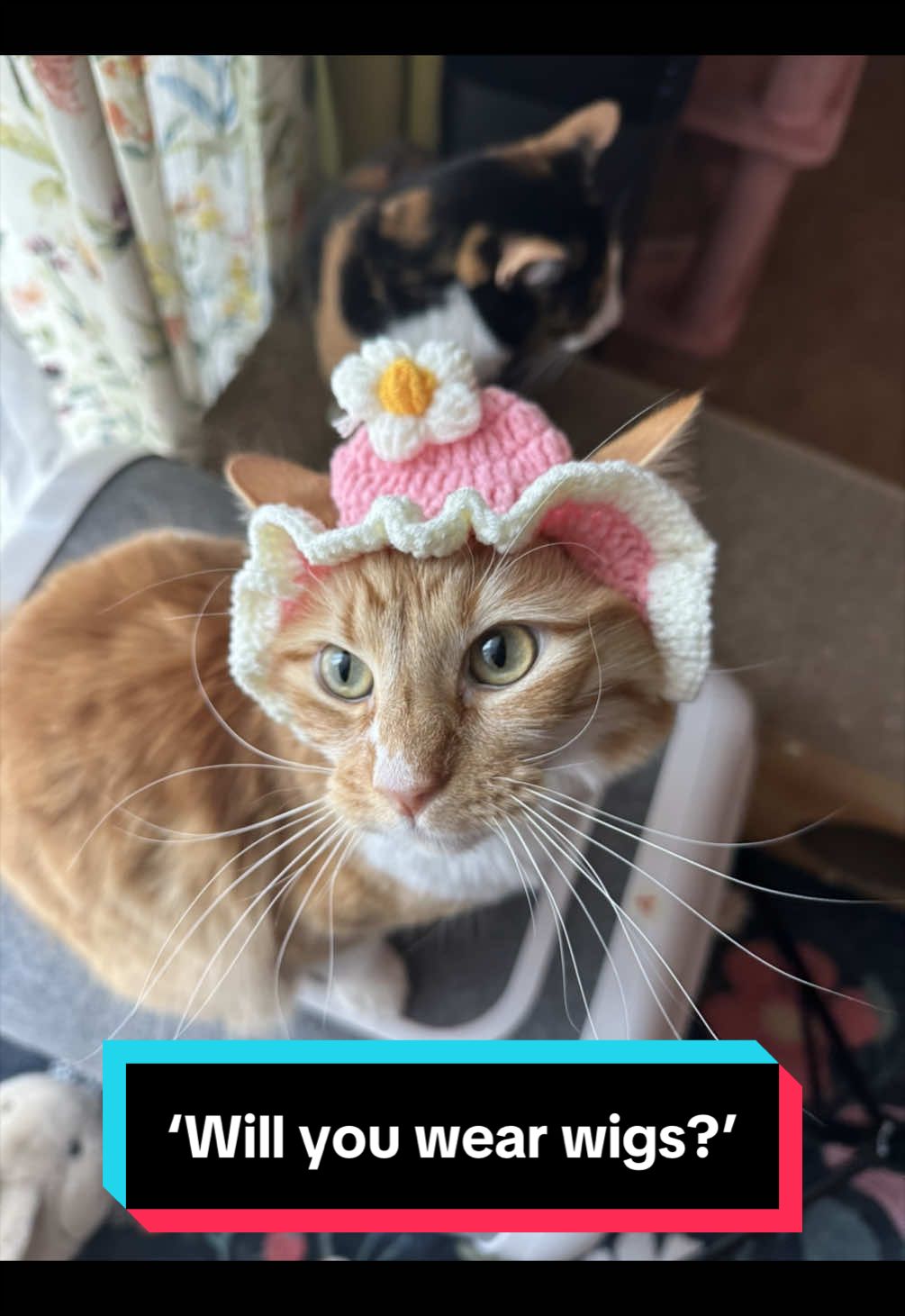 @meloncreamcat