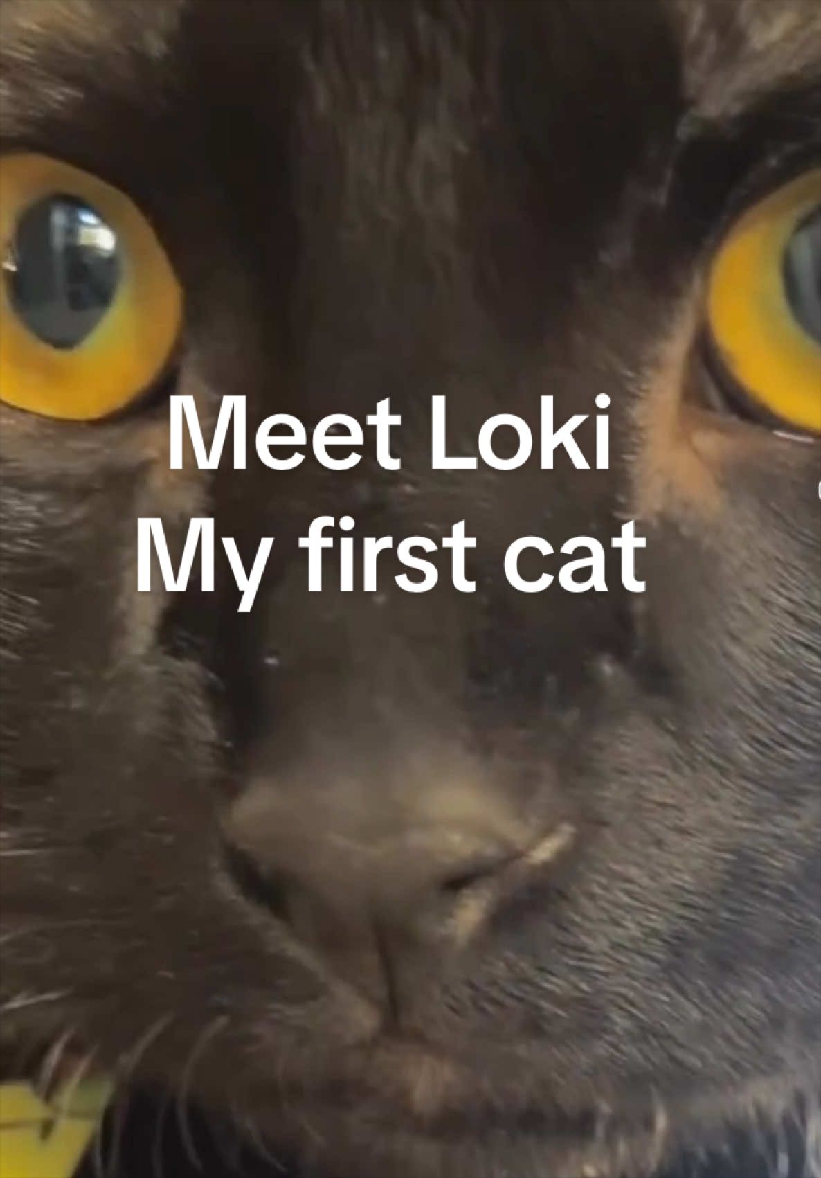 @Lil_desert_hobo