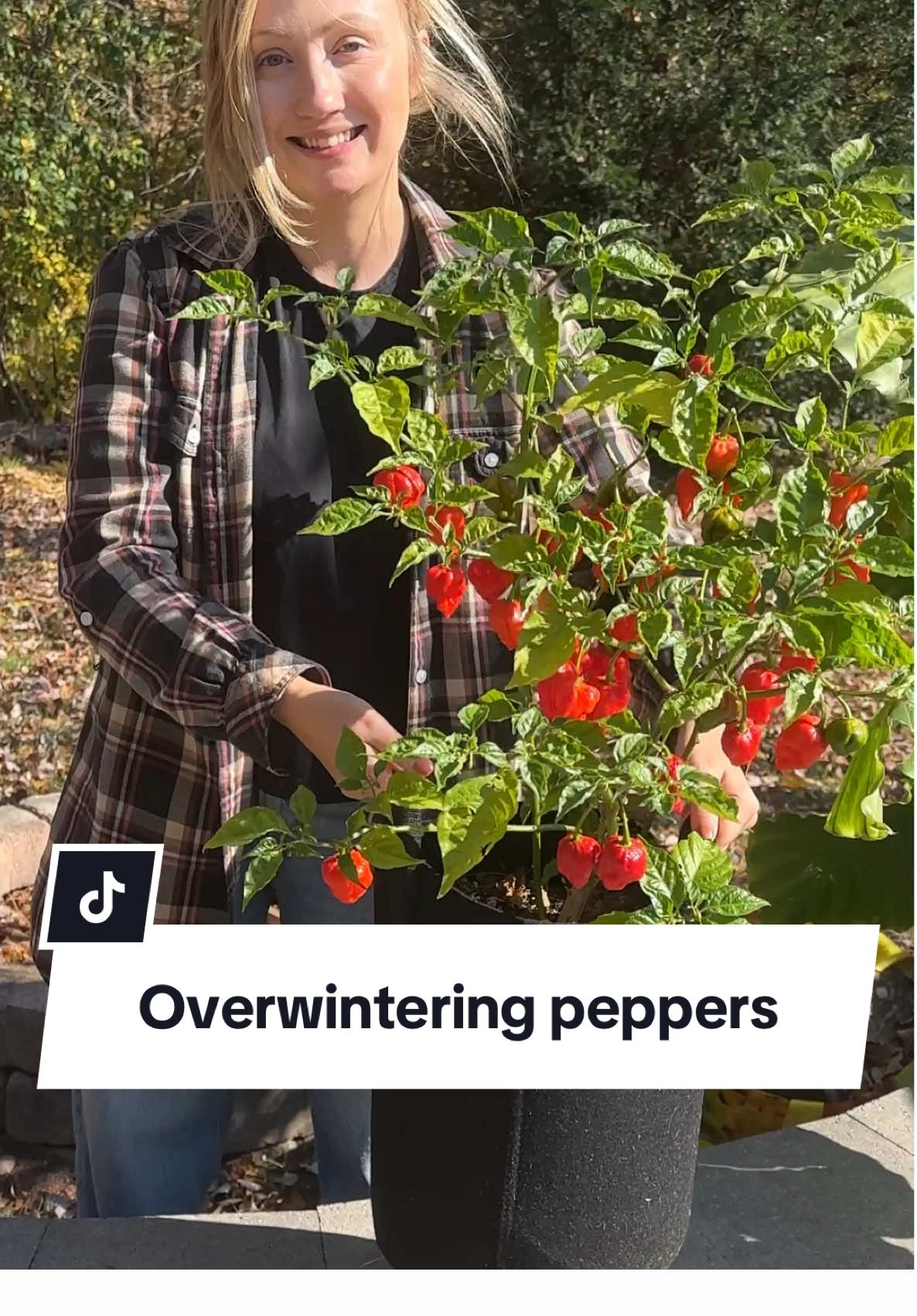 @Geeky Greenhouse / Pepper Geek