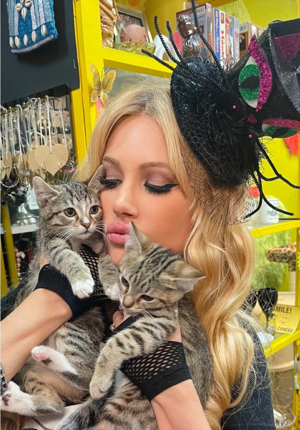 @Holly Meowy