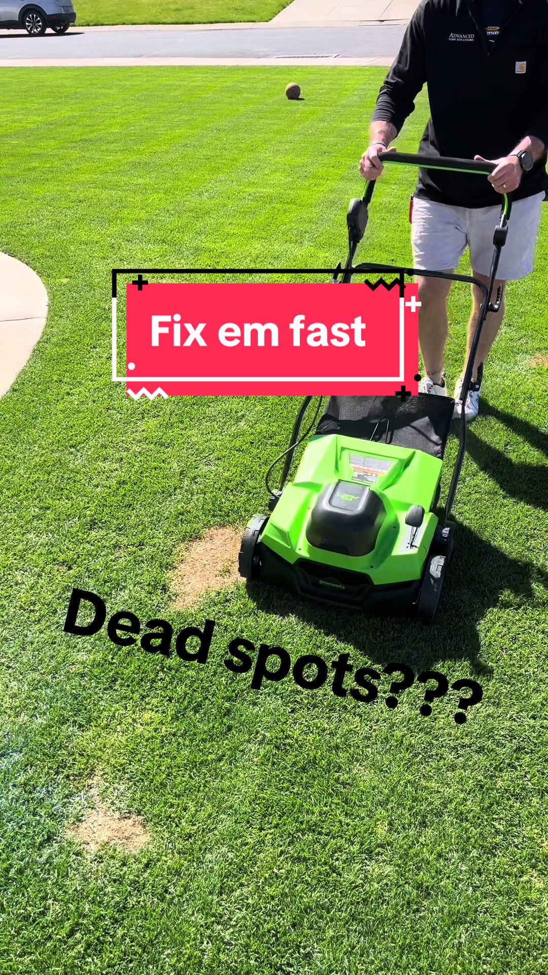 @Lawngest Yard