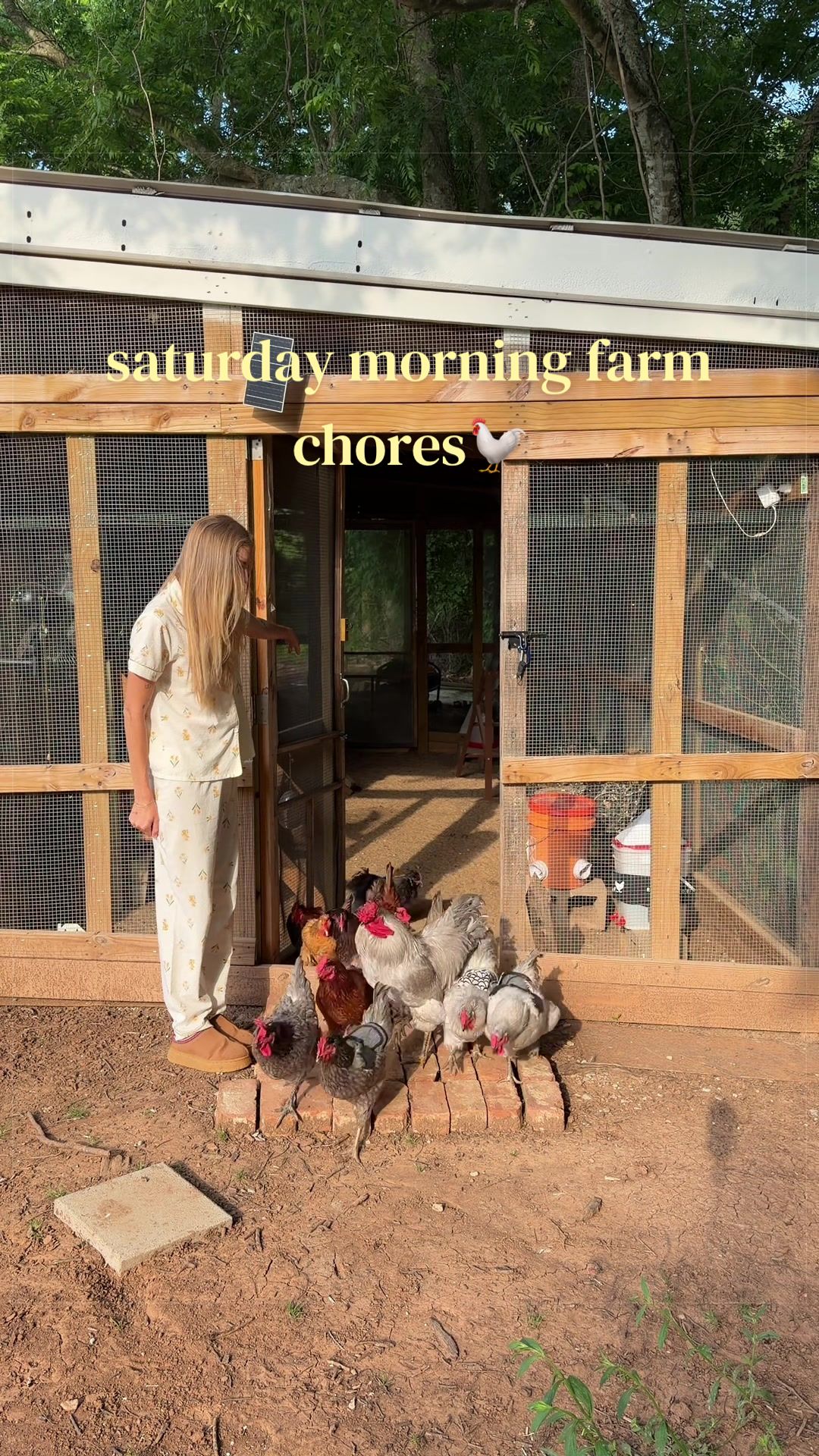 @meg&rsquo;s mini farm