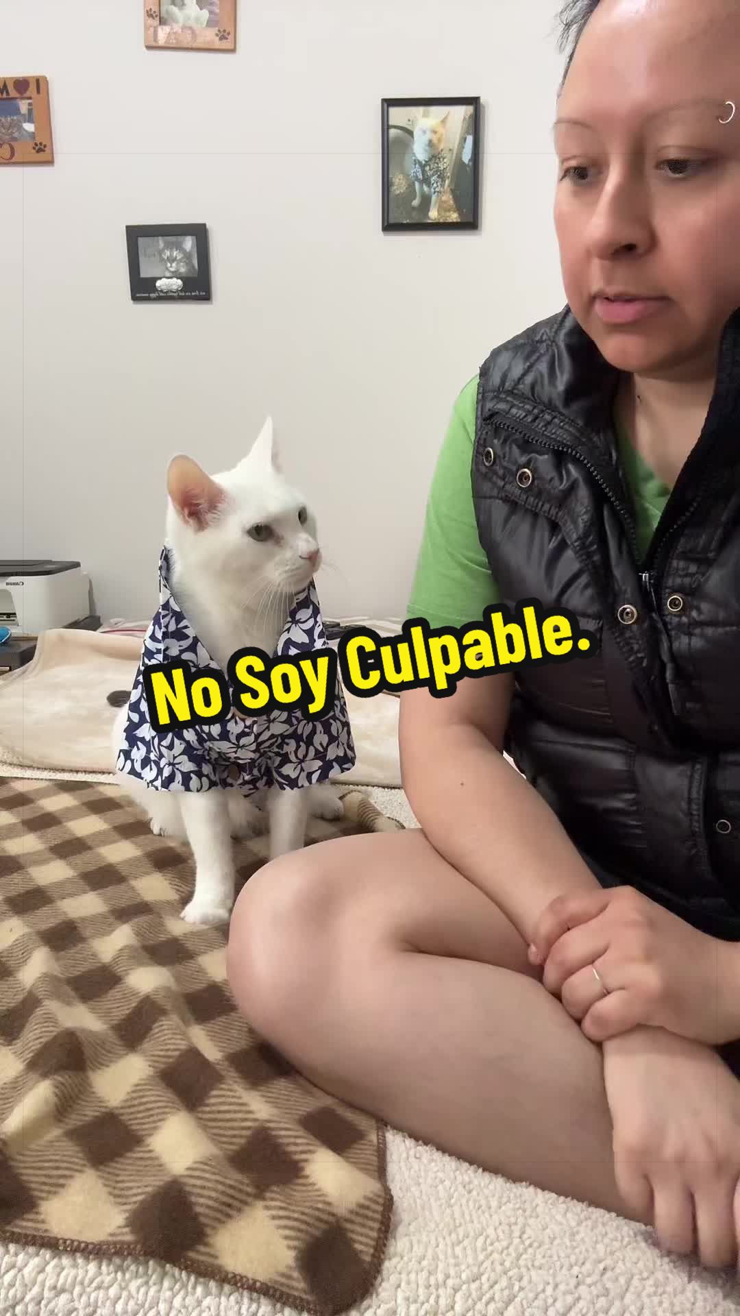 @🦖 MEOWassic CAT😺