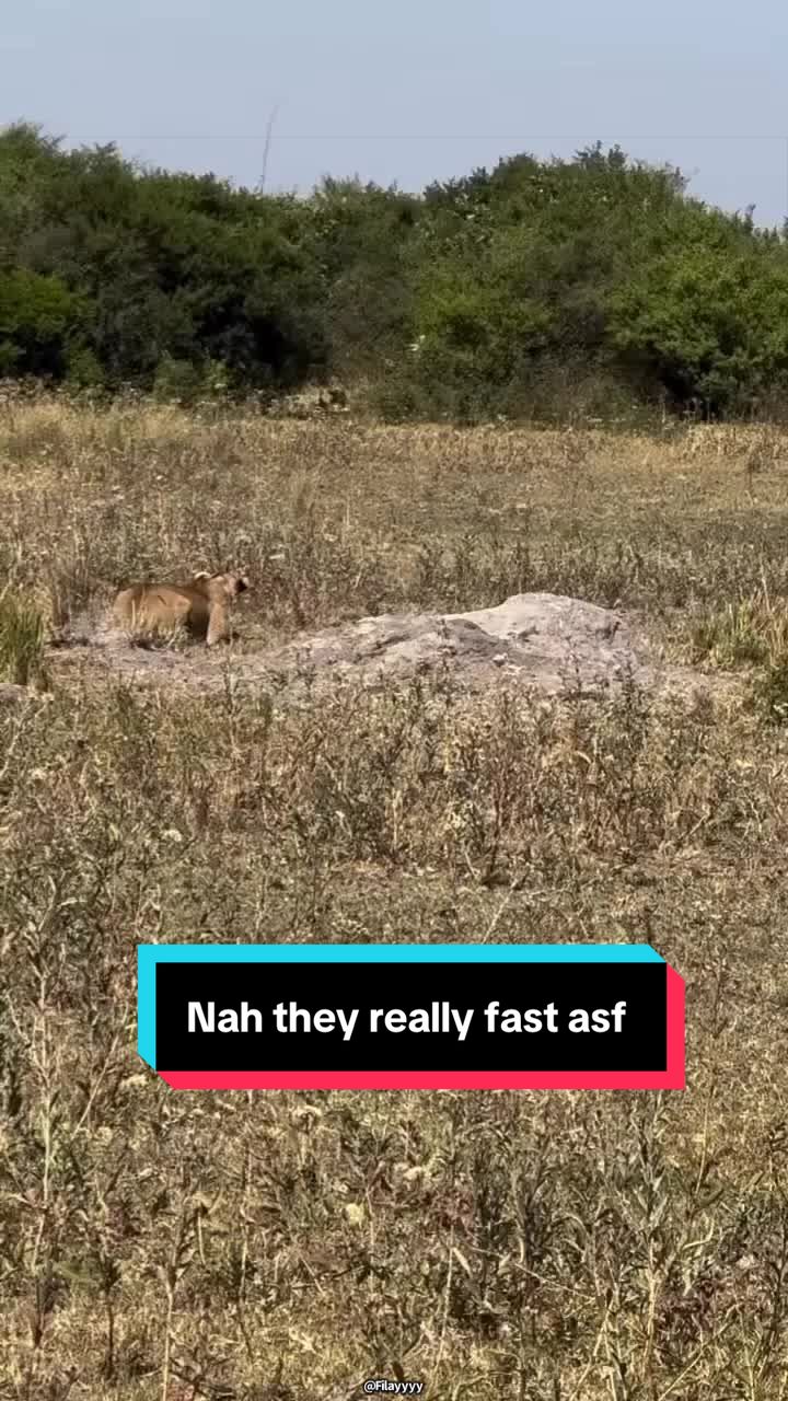 @Filayyyy
