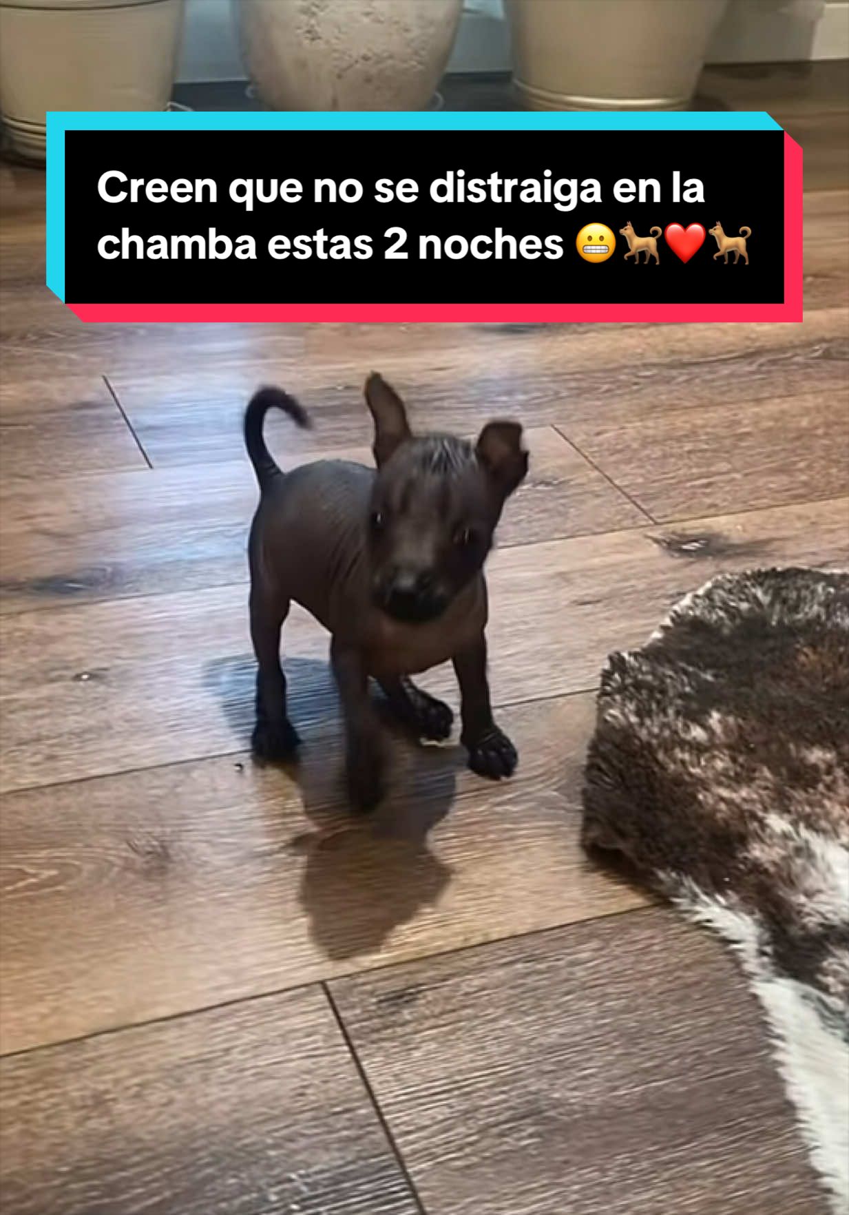 @Srj,Richar 💎