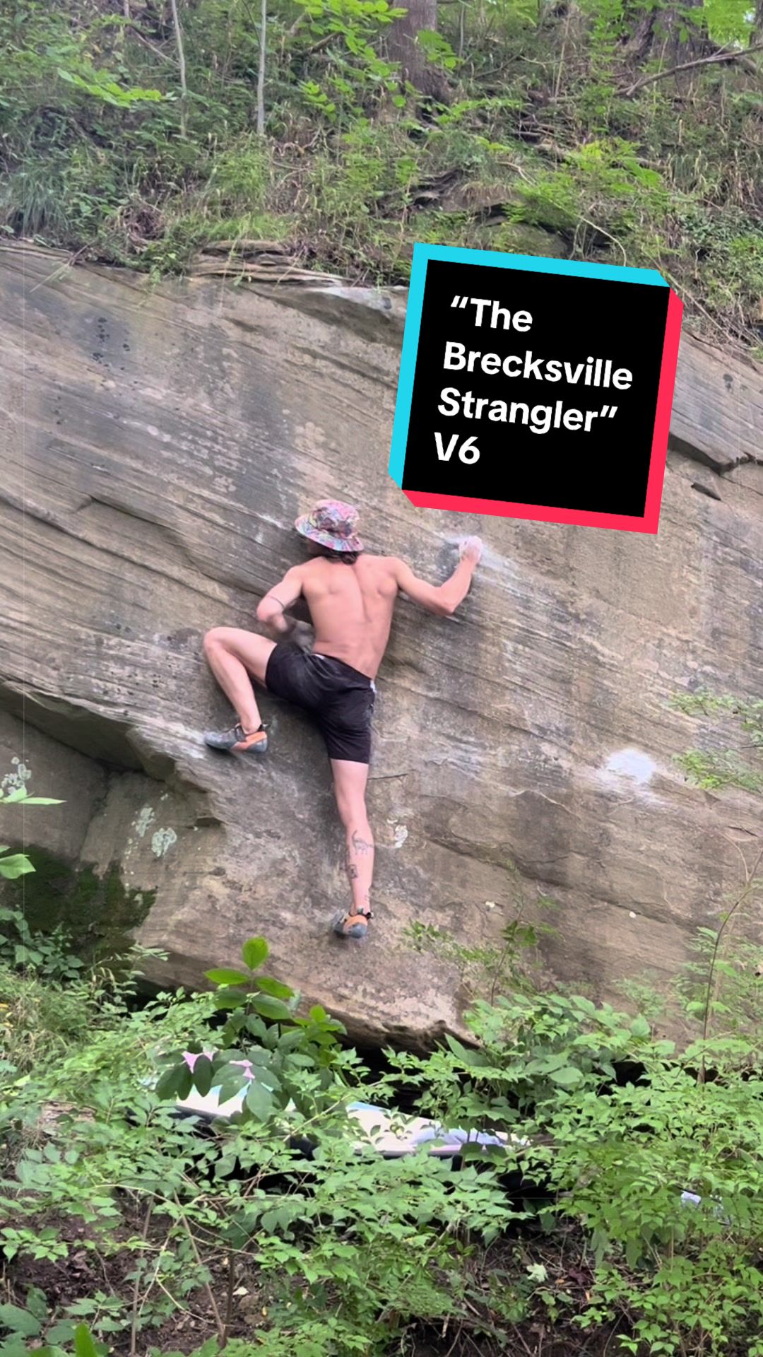 @Mog Climbs