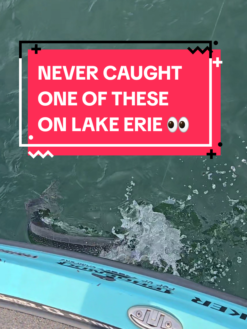 @Dave Lefebre