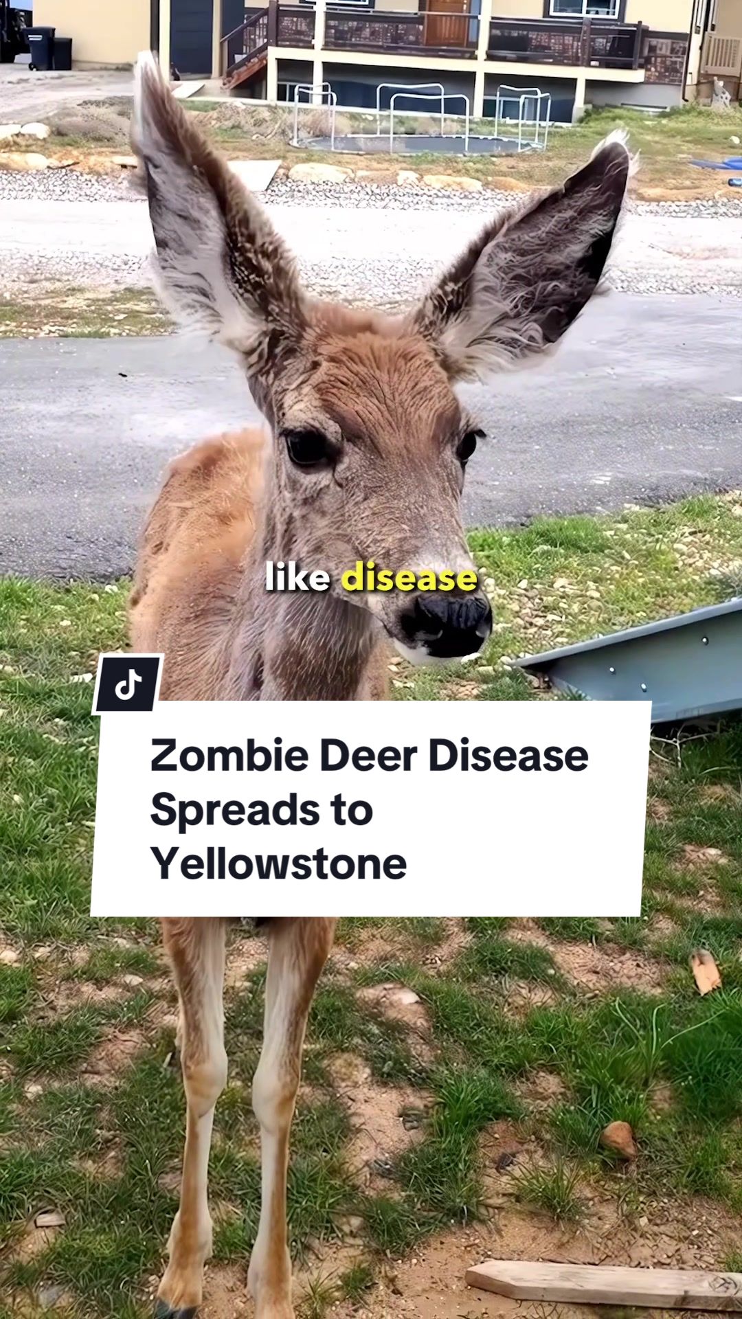 @comfyknowledge