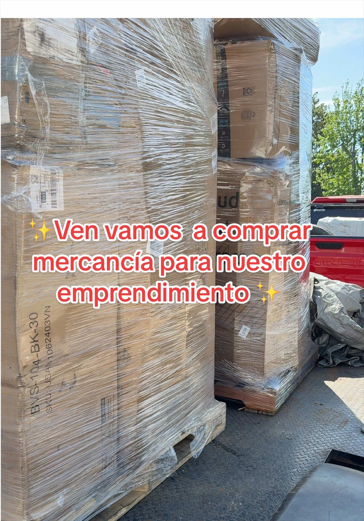 @Lugo Sales🪴