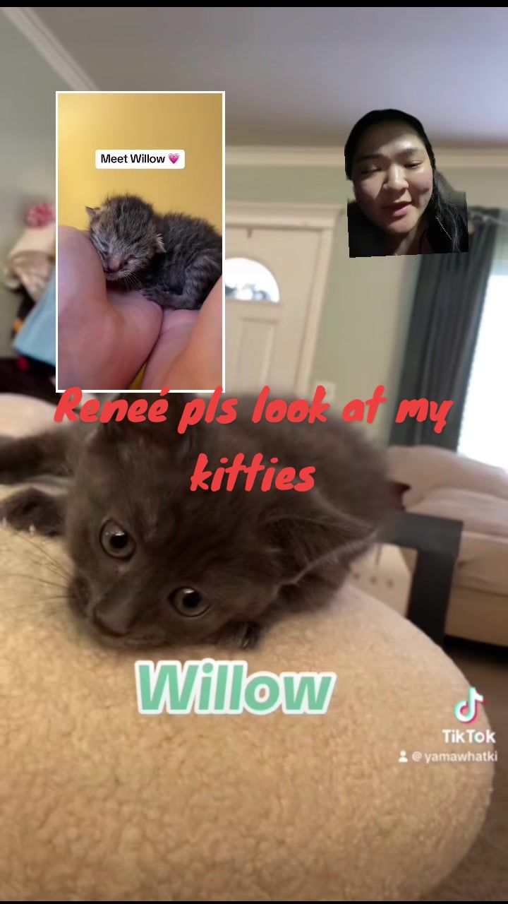 @Caitlyn