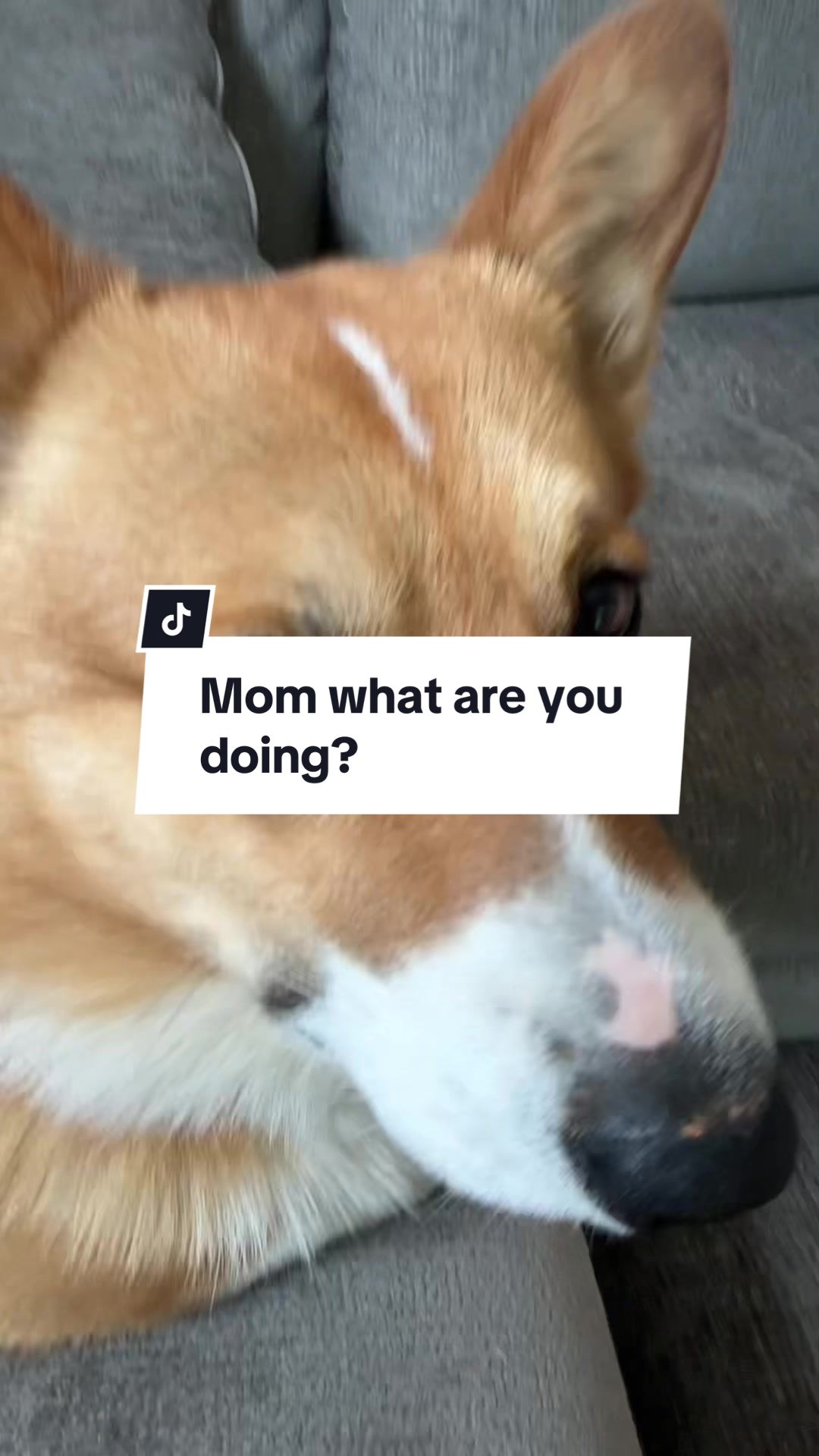 @Stella and Selene