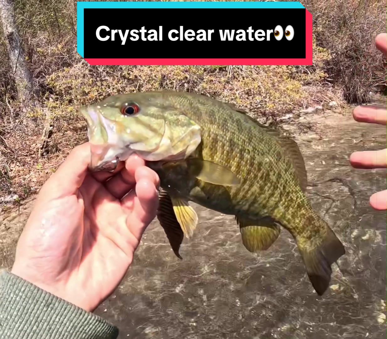 @sams.fishing_