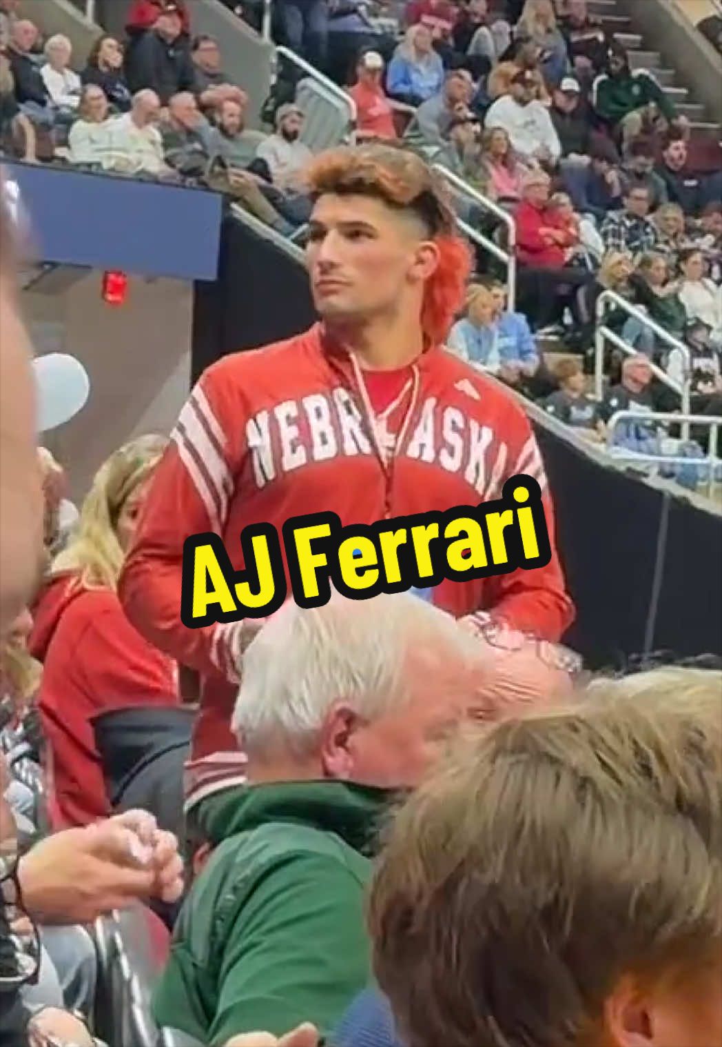 @lionheartleo
