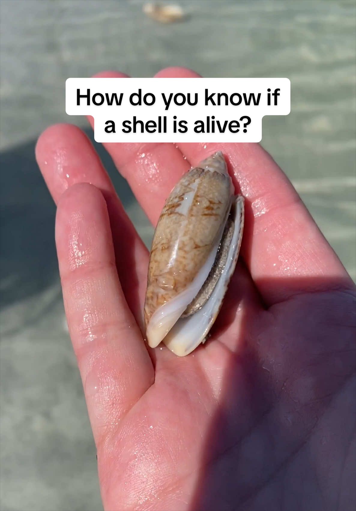 @🐚Jojo🌴