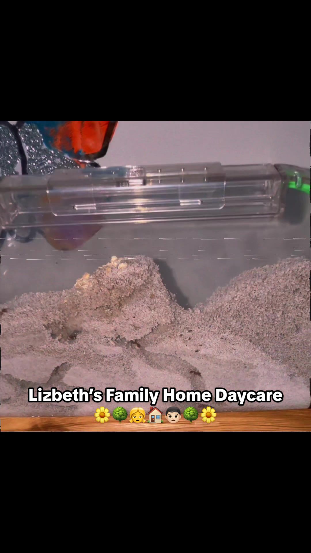 @Lizbeth’s Family Home Daycare