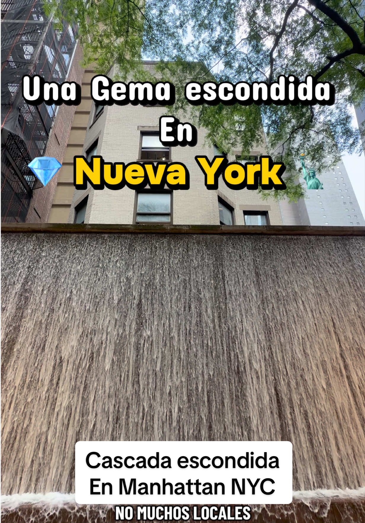 @ego.fer🗽