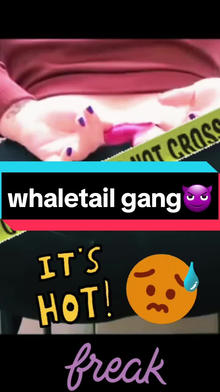 @whaletailn