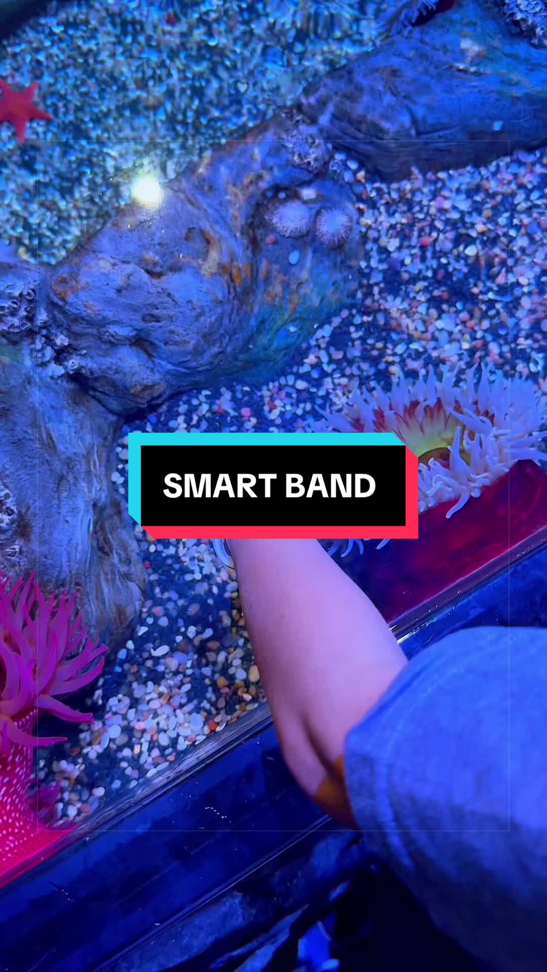 @Smart Threads