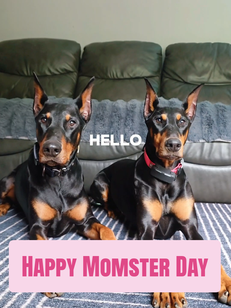 @Dobergoats Cash & Kaia