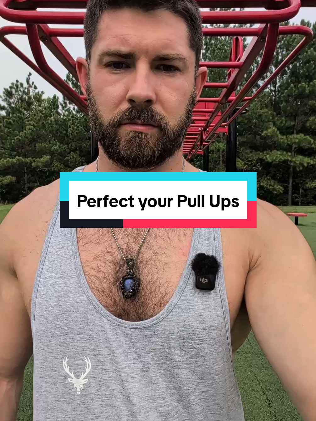 @DillPickle 🥒