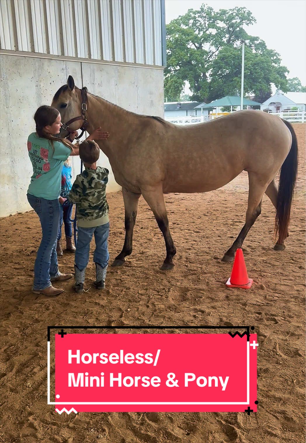 @yourhorseandponyleader