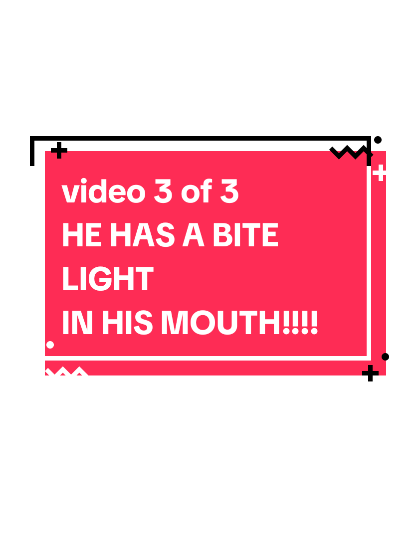 @Heather Neiderhiser