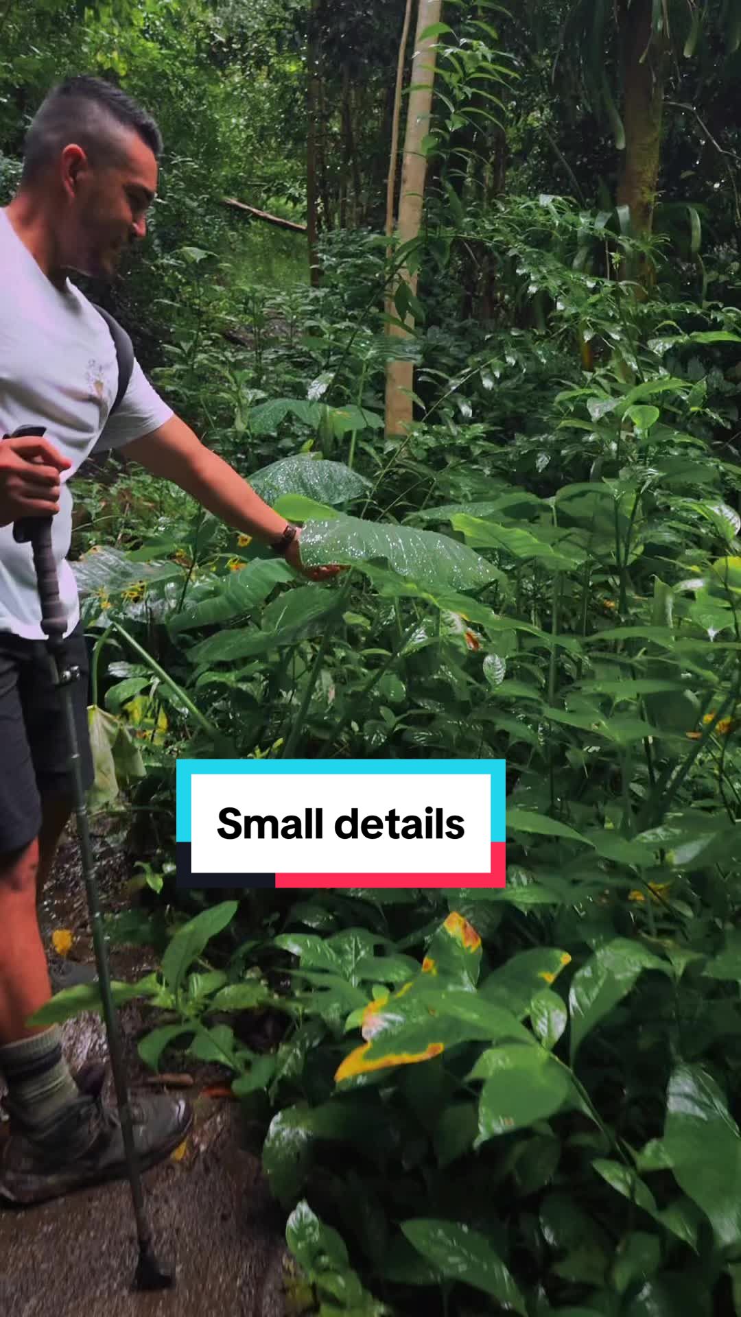 @Hawaii tiktok