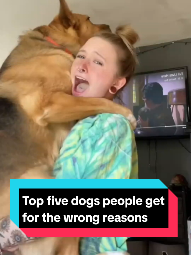 @The pet post