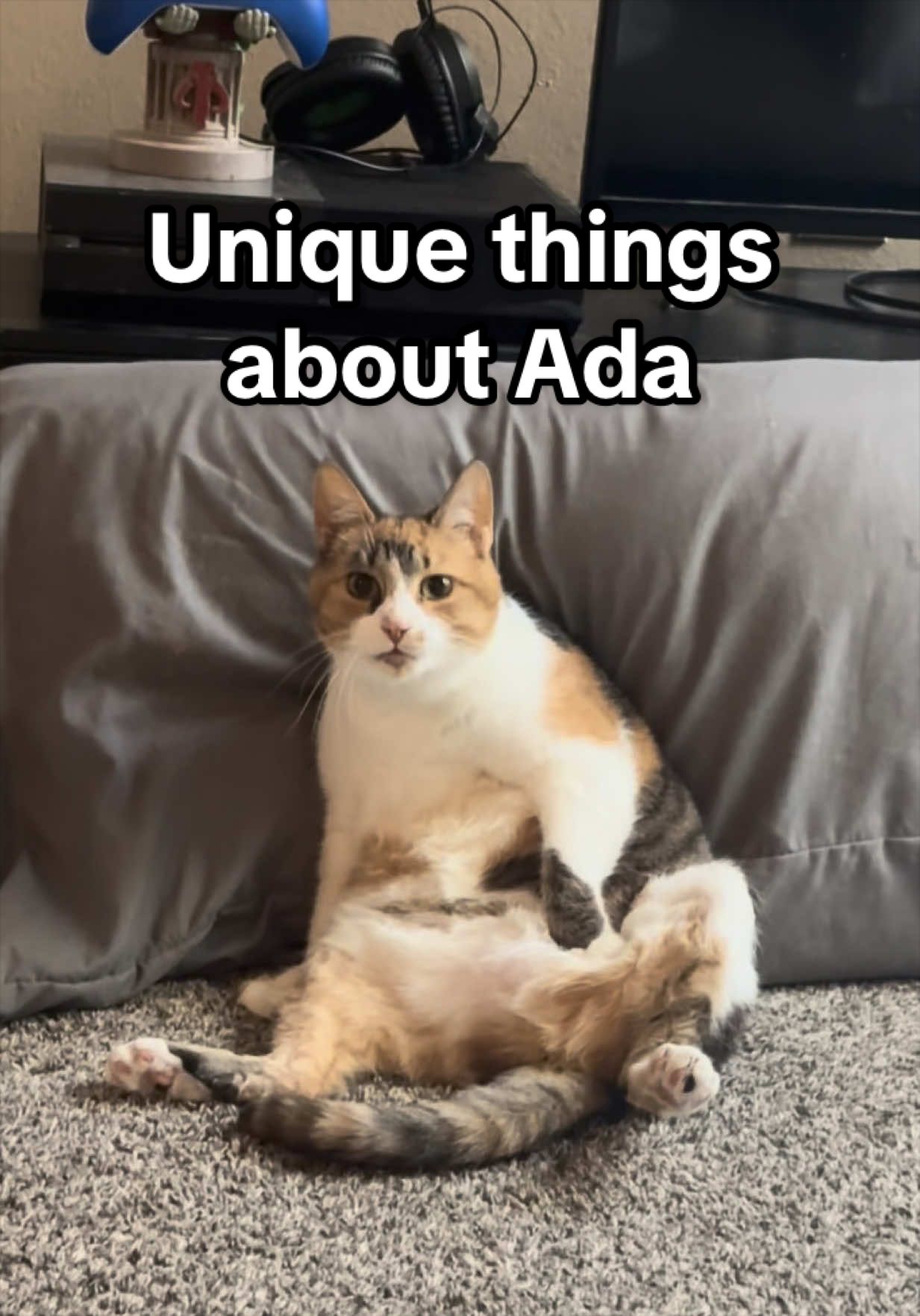 @Ada