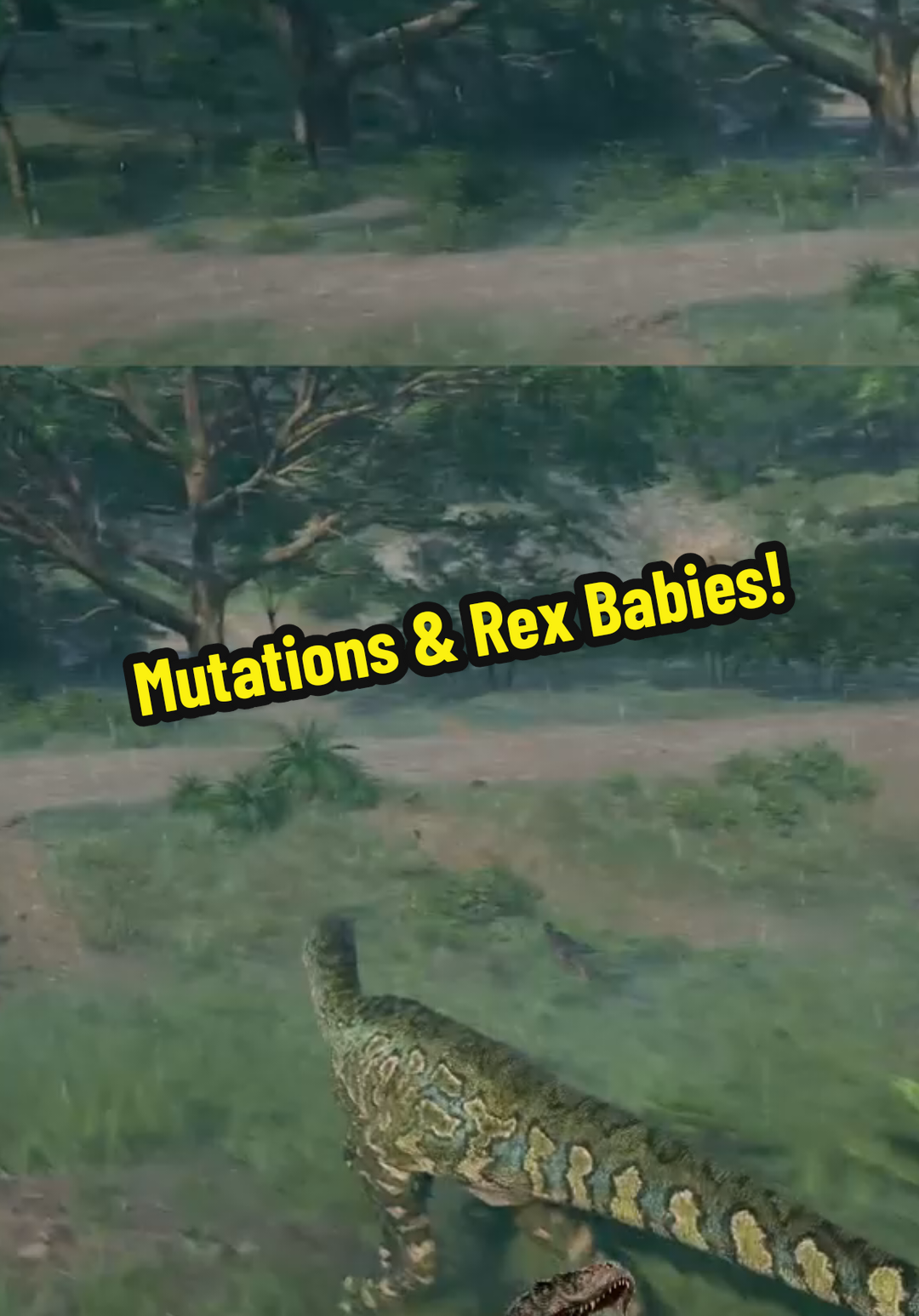 @IrregularOdds
