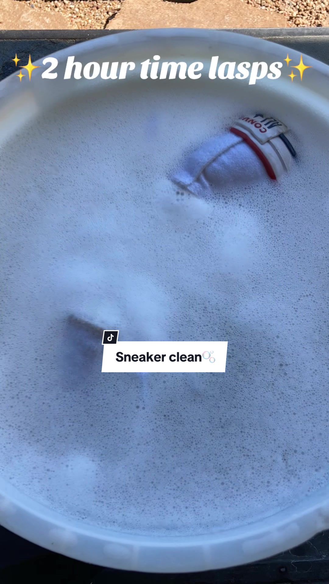 @SpotlessSociety