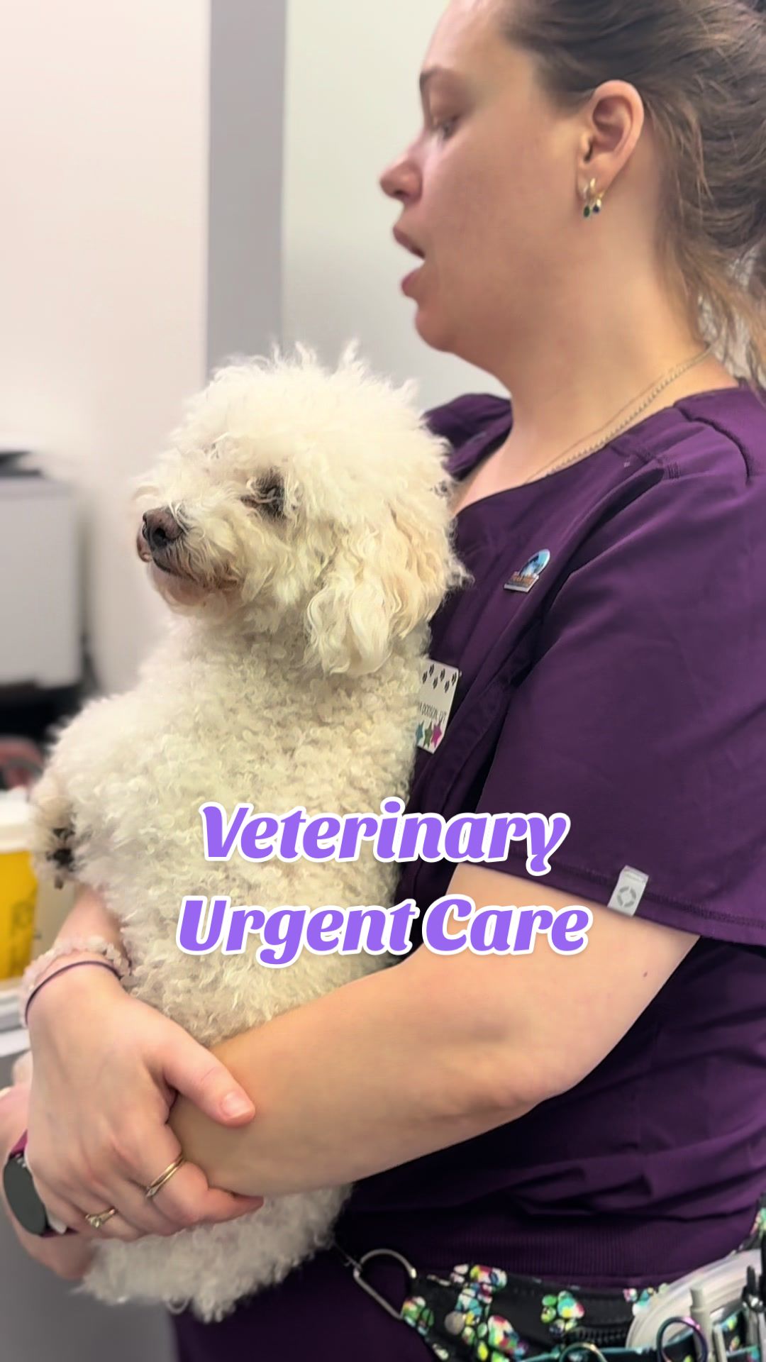 @Summit Veterinary Care