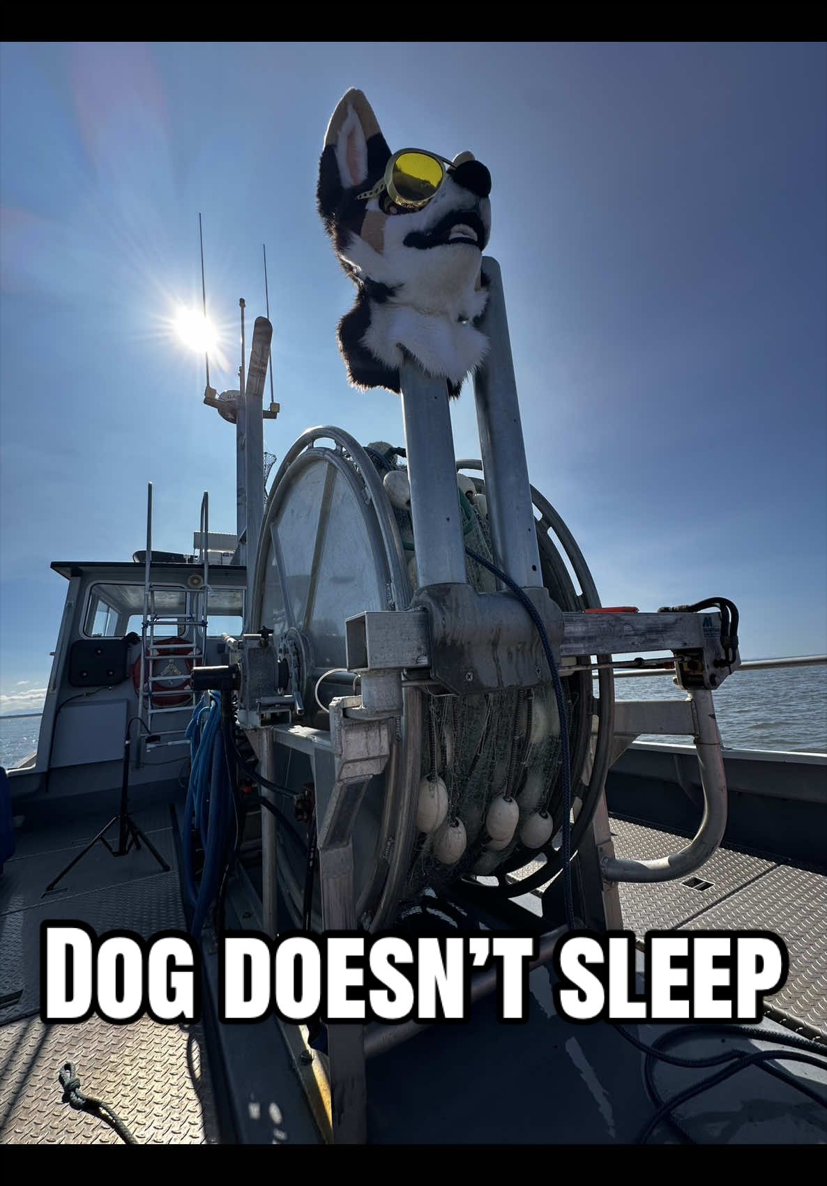 @Kodiak