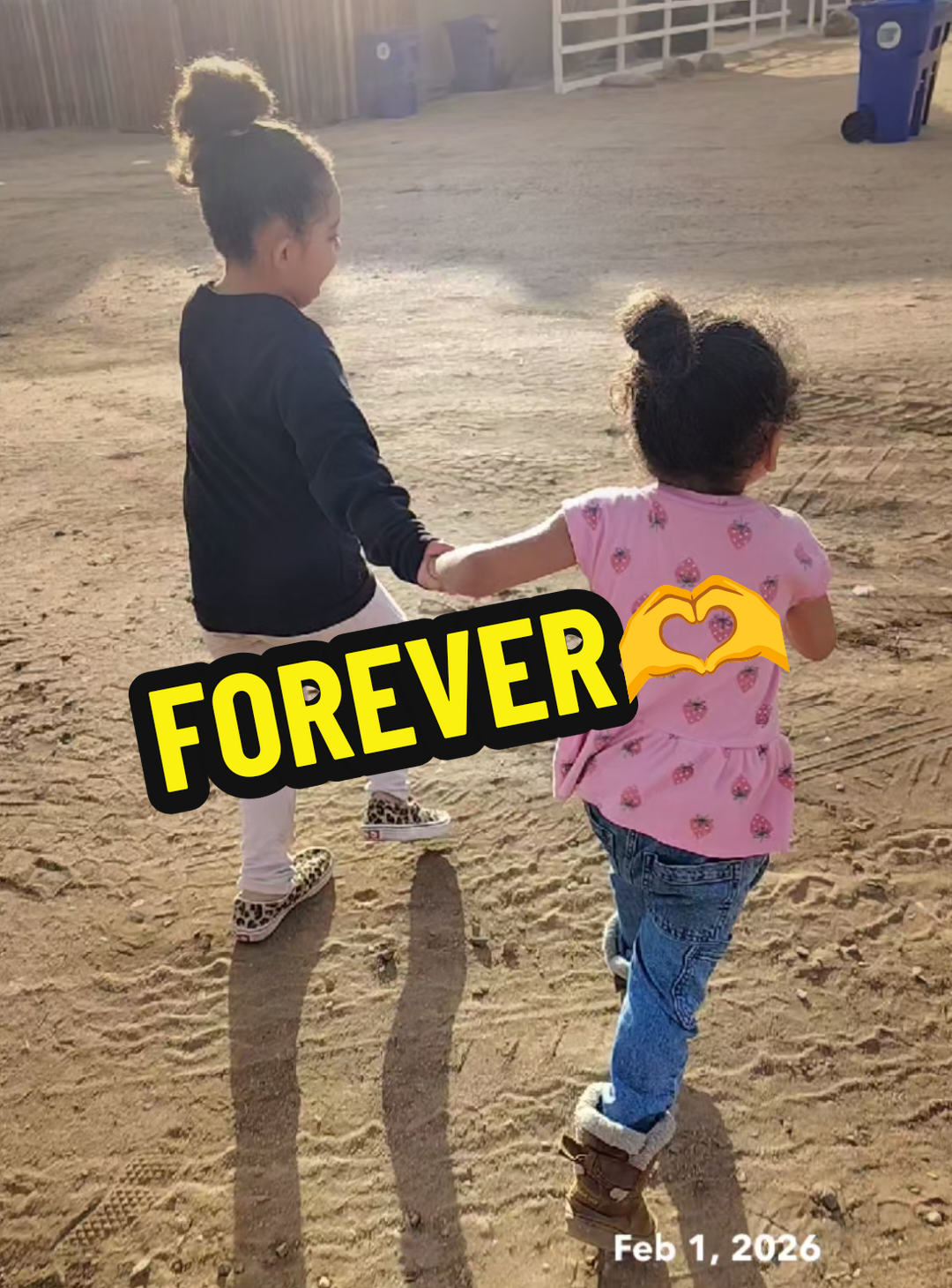 @🌻Thesillyfamily19🌻