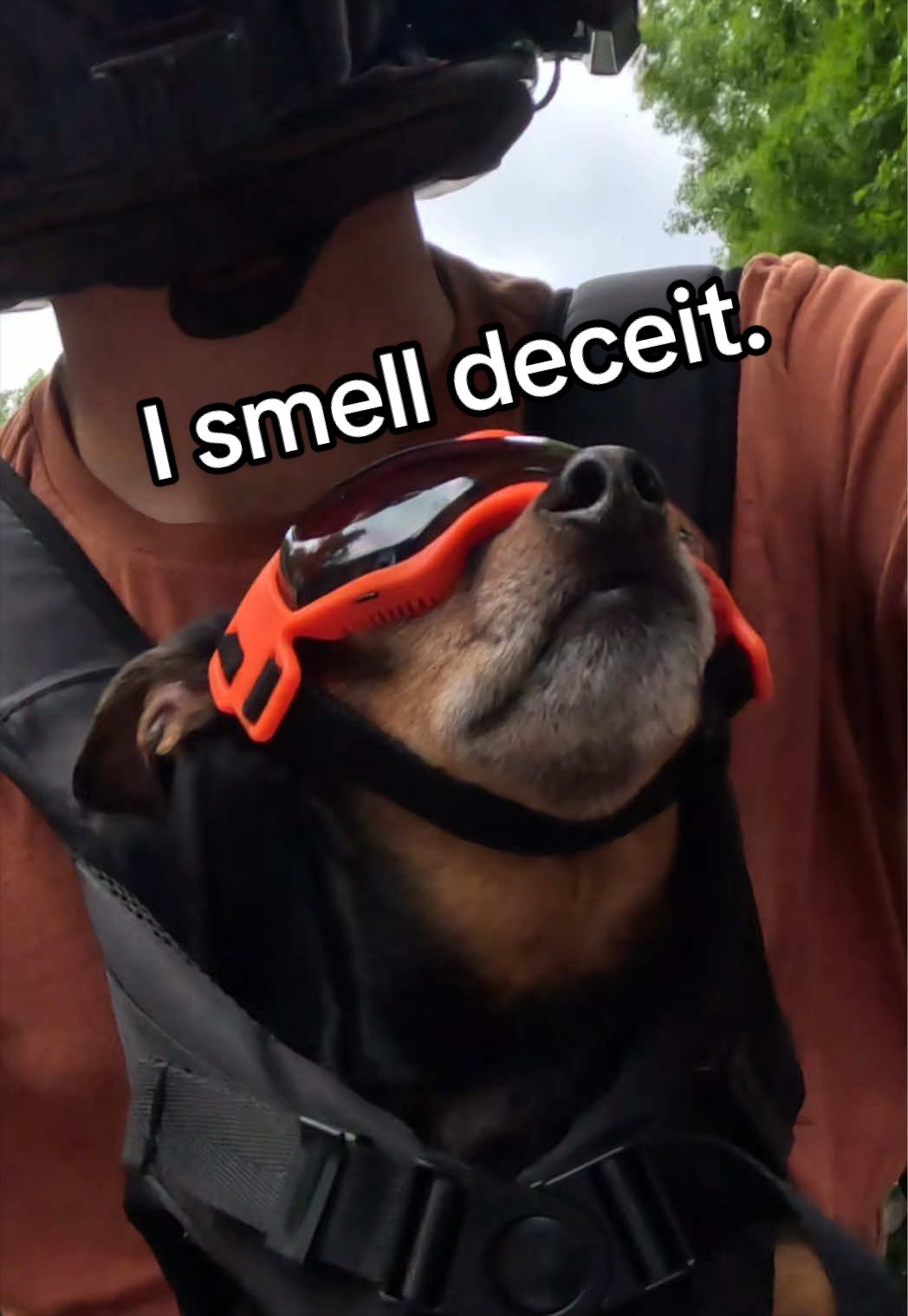 @Jyrvo
