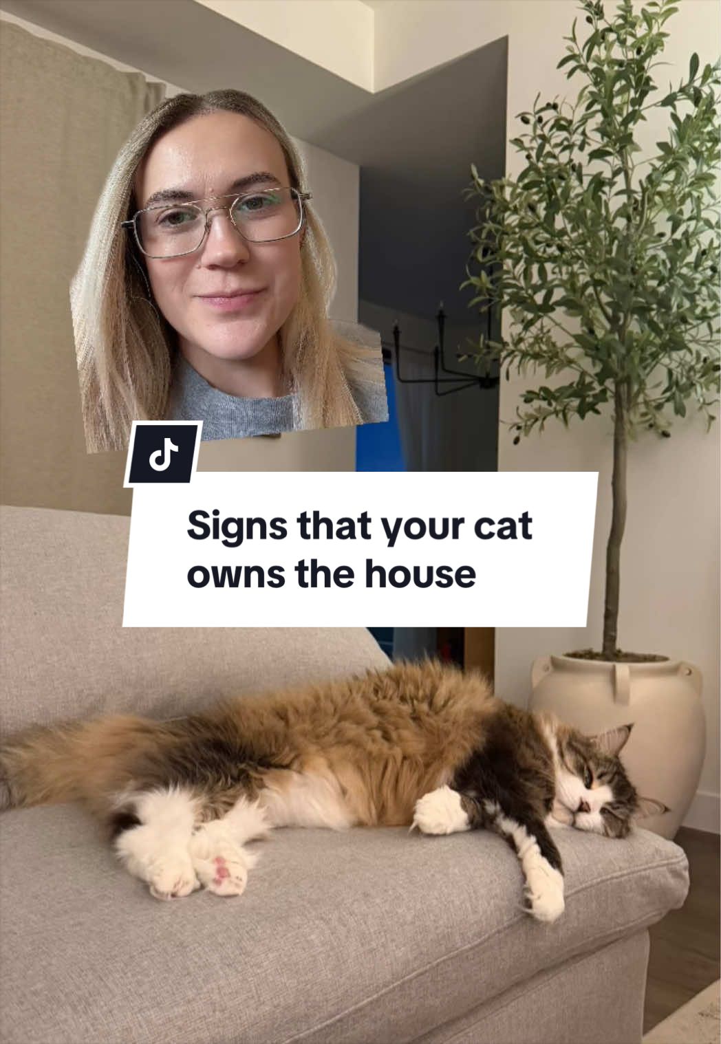 @Tuft & Paw