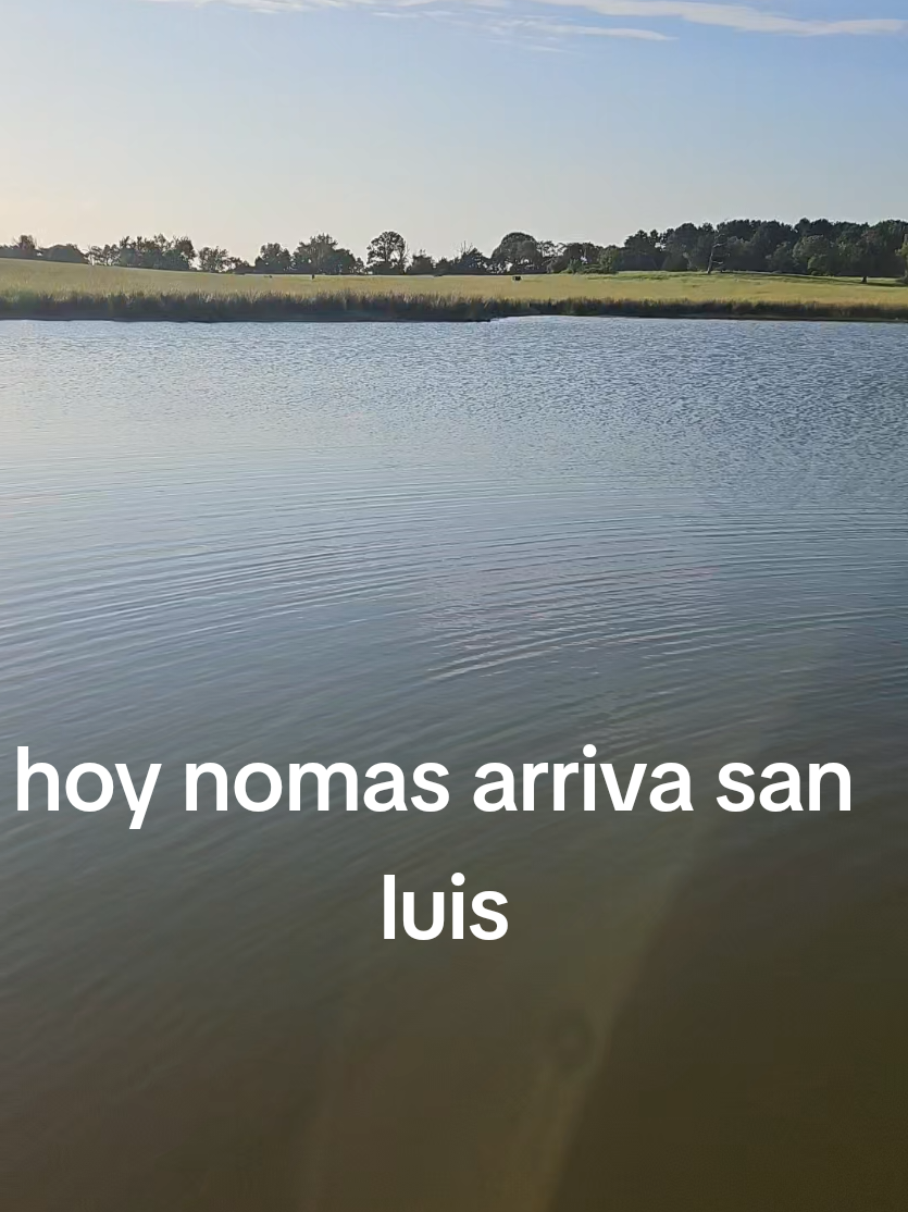 @Carlos Pineda