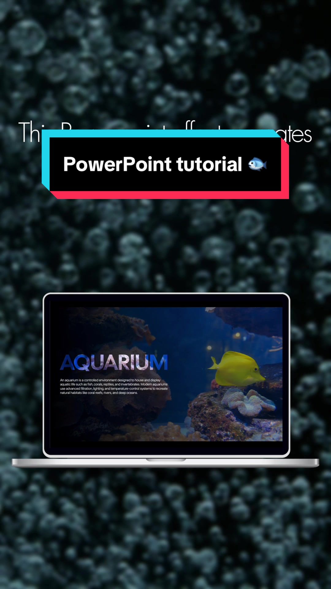 @Slidenest PowerPoint Morph