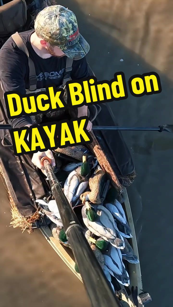 @Birdbath Waterfowl🦆