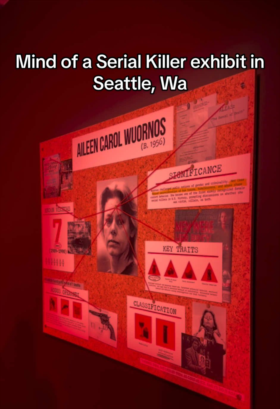 @Kary PNW
