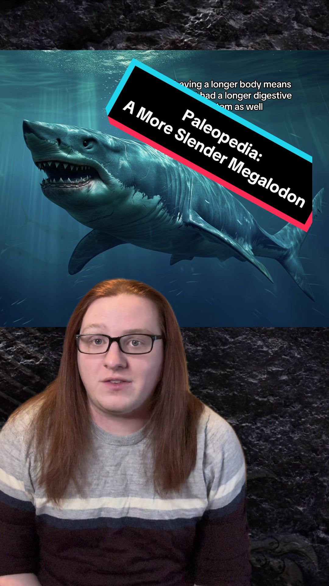 @Paleopedia