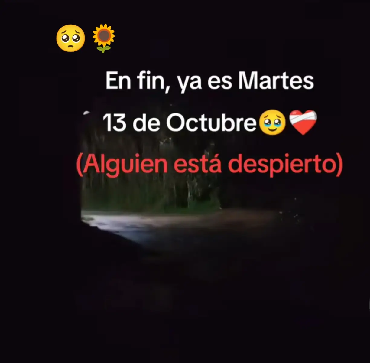 @🥺🌻 Mary pampeñita 🥺🌻