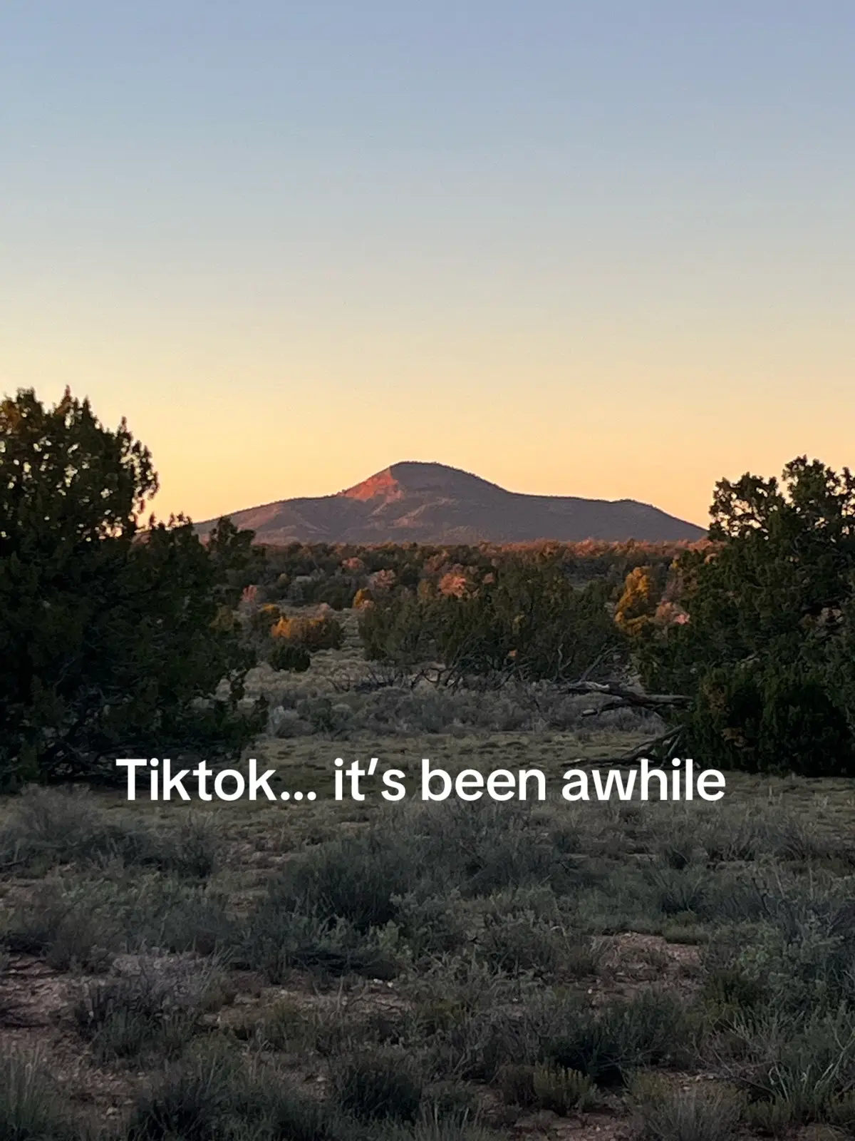 @Scott@AZHighDesertHomestead